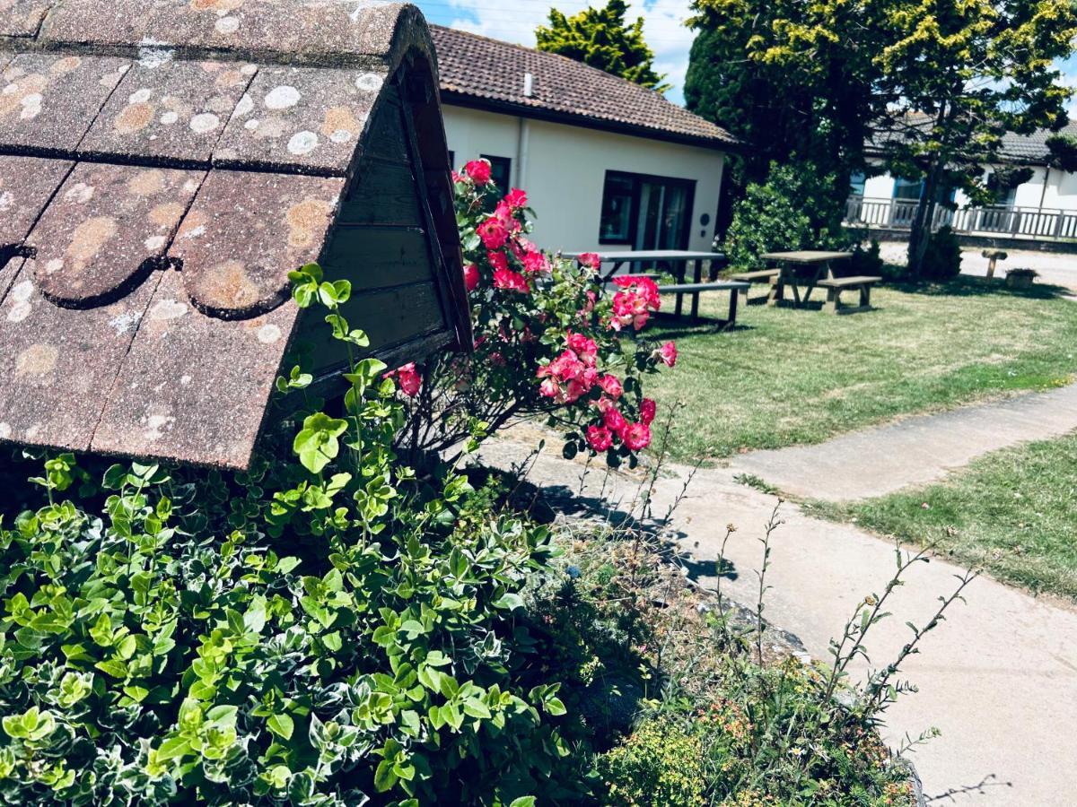 Kinetic Stays - Serenity Holiday Cottages Sidmouth Bagian luar foto